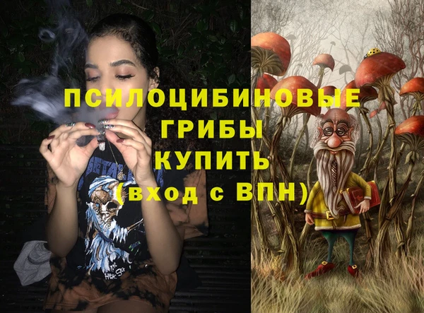 сатива Алексеевка