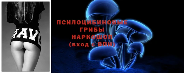 сатива Алексеевка