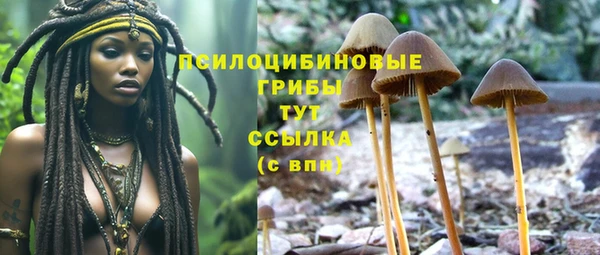 а пвп мука Алзамай