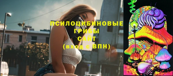 сатива Алексеевка